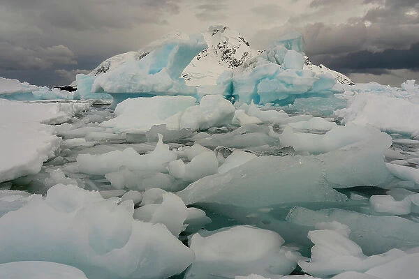 Ice drifting and iceberg in Paradise Bay, Antarctica, Polar Regions