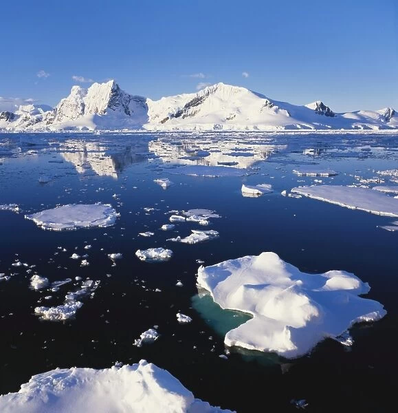 Ice Floe on the Antarctic Peninsula