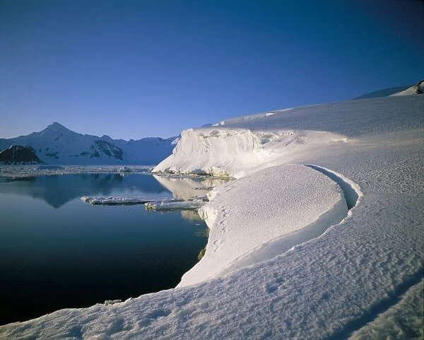 Ice front, Adelaide Island, Antarctica, Polar Regions