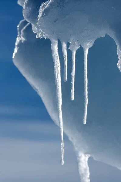 Ice melting in the high Arctic sun in spring, Nunavut, Canada, North America