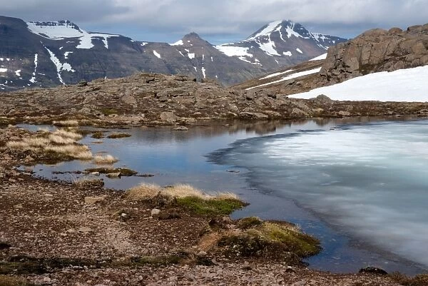 Ice melting on a mountain pass, Strandir, West Fjords, Iceland, Polar Regions