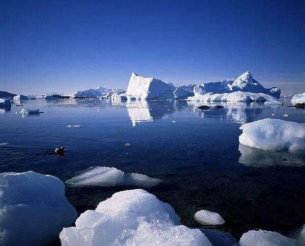 Ice scenery and seal, Antarctica, Polar Regions