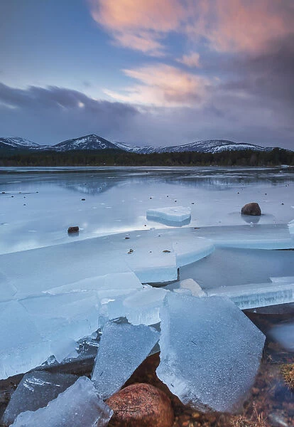 Ice sheets in severe winter weather on Loch Morlich, at daybreak