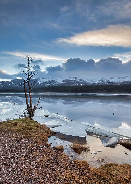 Ice sheets in severe winter weather on Loch Morlich, at daybreak