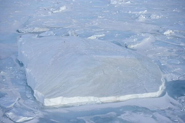 Iceberg and pack ice seen on heli flight from Russian icebreaker, Kapitan Khlebnikov