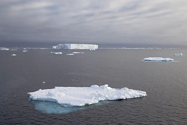 Icebergs, Antarctic Peninsula, Antarctica, Polar Regions