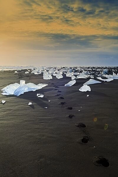 Icebergs on a black sand volcanic beach next to the Jokulsarlon glacial lake in Vatnajokull