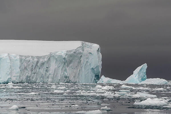 Icebergs in Curtiss Bay, Antarctica, Polar Regions