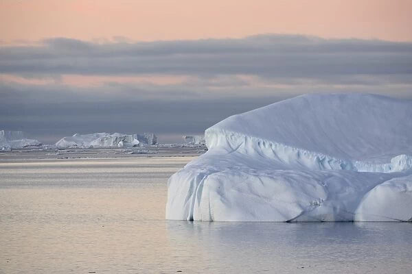 Icebergs at dawn off Antarctic Peninsula, Antarctica, Polar Regions