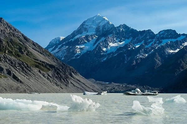 Icebergs float in a cold lake with a large snow covered mountain, South Island, New Zealand