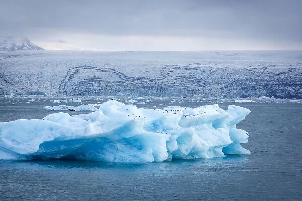 Icebergs floating in Glacier Lagoon beneath Breidamerkurjokull glacier, Jokulsarlon
