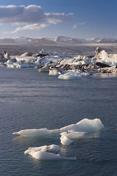 Icebergs floating in the Lagoon beneath Breidamerkurjokull Glacier