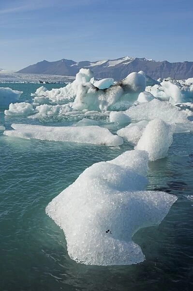 Icebergs in the glacial melt water lagoon