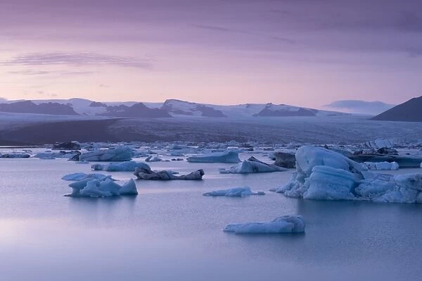 Icebergs in Jokulsarlon glacial lagoon, at dusk, Breidamerkurjokull (Vatnajokull) glacier in the distance, East Iceland, Iceland