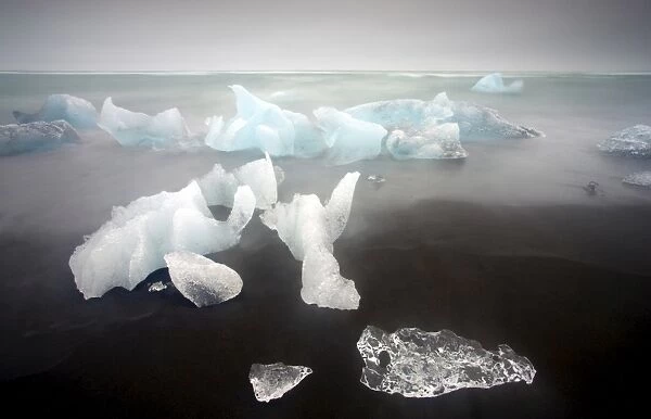Icebergs from the Jokulsarlon glacial lagoon washed up on a nearby black volcanic sand beach from the North Atlantic Ocean, Iceland