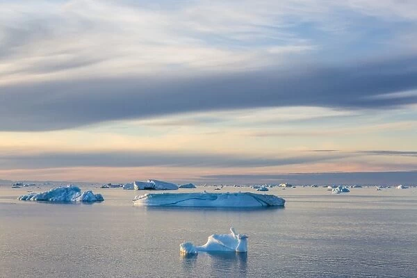 Icebergs in Kong Oscar Fjord, Northeast Greenland, Polar Regions