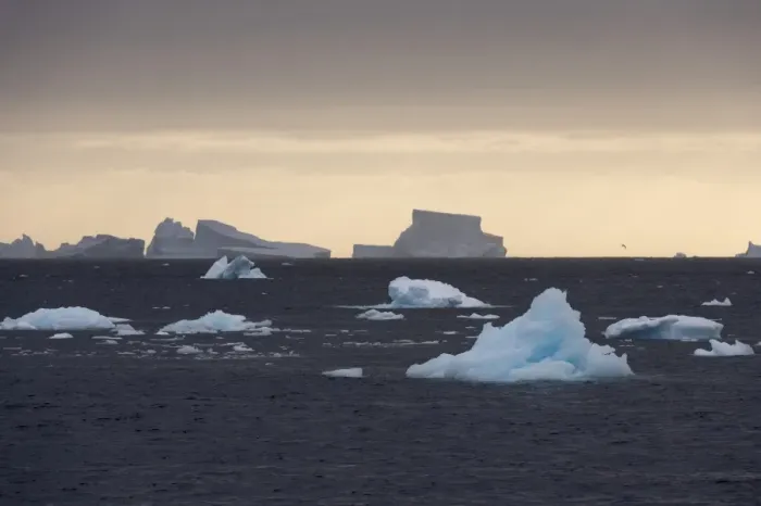 Framed Print : Icebergs, Lemaire Channel, Antarctica, Polar Regions