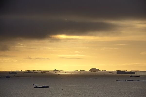 Icebergs at sunset, off Antarctic Peninsula, Antarctica, Polar Regions