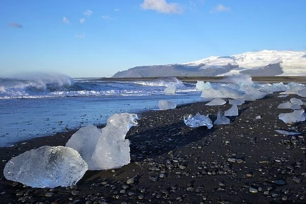 Icebergs on volcanic sand beach at Jokulsarlon with snow on the massive icecap of Vatnajokull behind, Iceland, Polar Regions