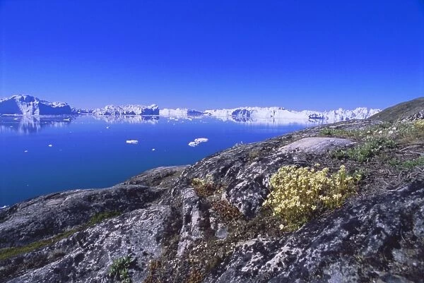 The icefjord at Sermermiut