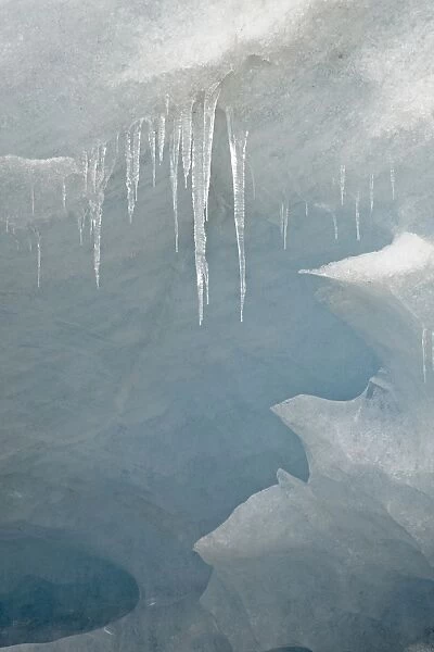 Icicles on the face of the Athabasca Glacier, Jasper National Park, UNESCO World Heritage Site