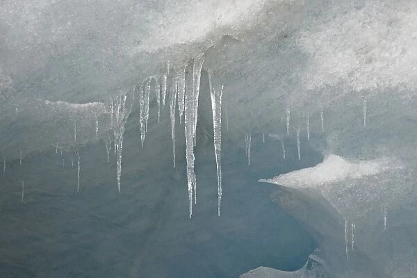 Icicles on the face of the Athabasca Glacier, Jasper National Park, UNESCO World Heritage Site