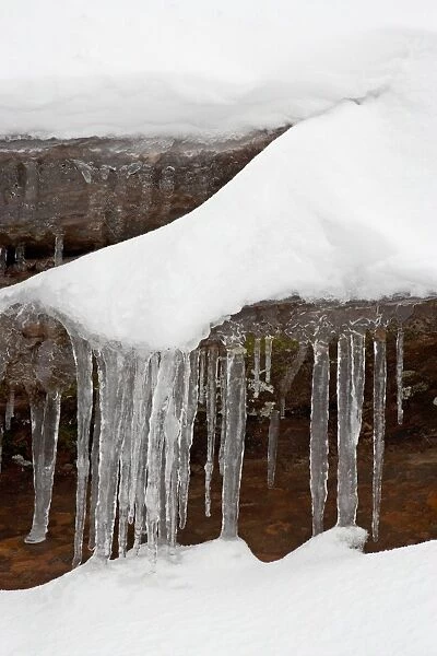 Icicles hanging from a rock with fresh snow, Zion National Park, Utah, United States of America