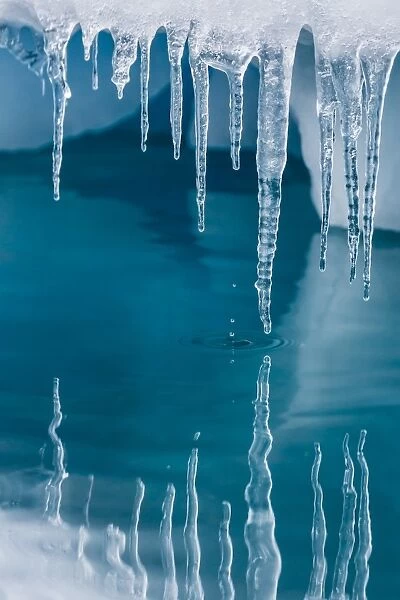 Icicles mirrored in calm water from ice floating in the Neumayer Channel near Wiencke Island, Antarctica, Polar Regions