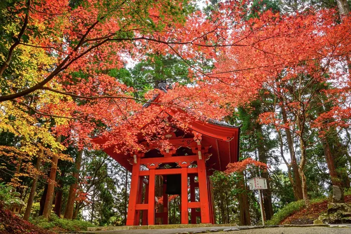 Framed Print : Iconic red Shoro (bell tower) framed by vivid autumn leaves on Mount Hiei, near the historic Enryaku-ji Temple, Ohara, Honshu, Japan