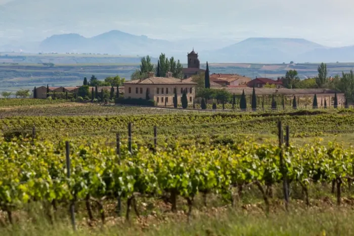 Framed Print : Idyllic vineyard in La Rioja, Spain, Europe Framed Print : Idyllic vineyard in La Rioja, Spain, Europe