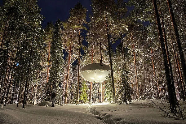 Illuminated UFO shaped room in the frozen forest covered with snow, winter view, Swedish Lapland, Harads, Sweden, Scandinavia, Scandinavia, Europe