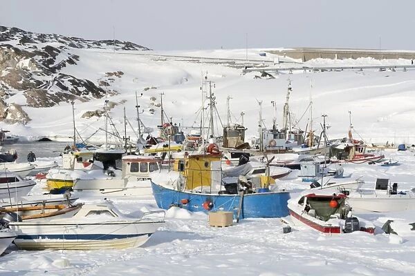 Ilulissat harbour, Greenland, Denmark, Polar Regions