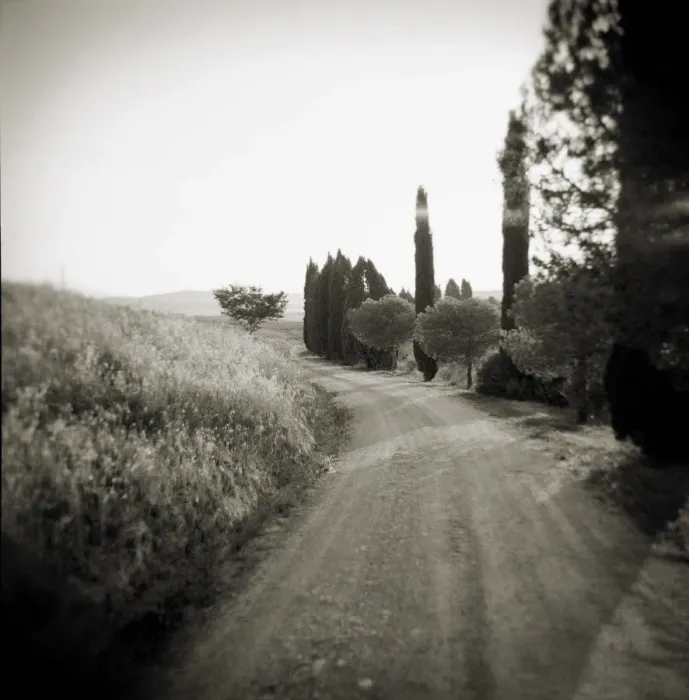 Framed Print : Image taken with a Holga medium format 120 film toy Framed Print : Image taken with a Holga medium format 120 film toy
