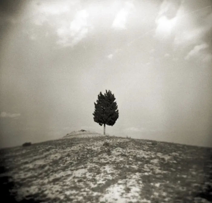Framed Print : Image taken with a Holga medium format 120 film toy Framed Print : Image taken with a Holga medium format 120 film toy