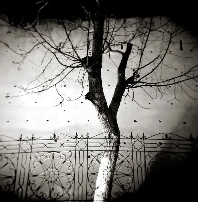 Framed Print : Image taken with a Holga medium format 120 film toy Framed Print : Image taken with a Holga medium format 120 film toy