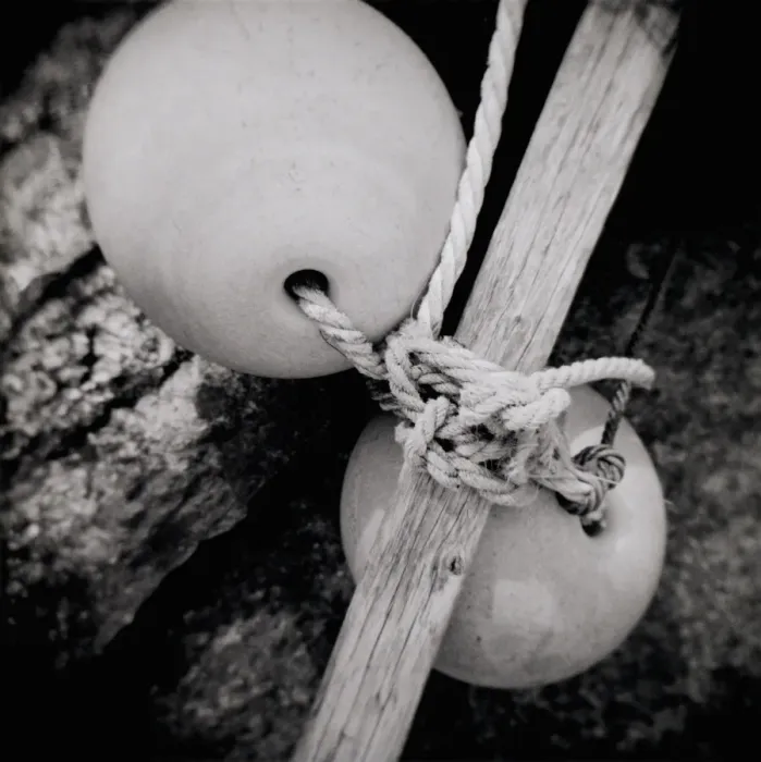Framed Print : Image taken with a Holga medium format 120 film toy