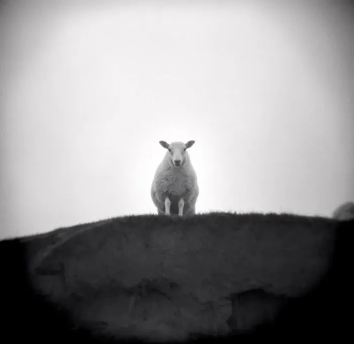 Framed Print : Image taken with a Holga medium format 120 film toy Framed Print : Image taken with a Holga medium format 120 film toy