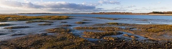 The image of the world is represented in the shape of the creak weaving around the marshy edges of Chichester Harbour, West Sussex, England, United Kingdom, Europe