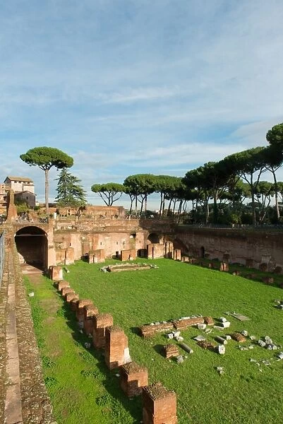 Imperial palace at Forum Romanum, Palatine Hill, Rome, Lazio, Italy, Europe