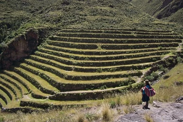 Inca terracing in the Sacred Valley, Pissac, Peru, South America