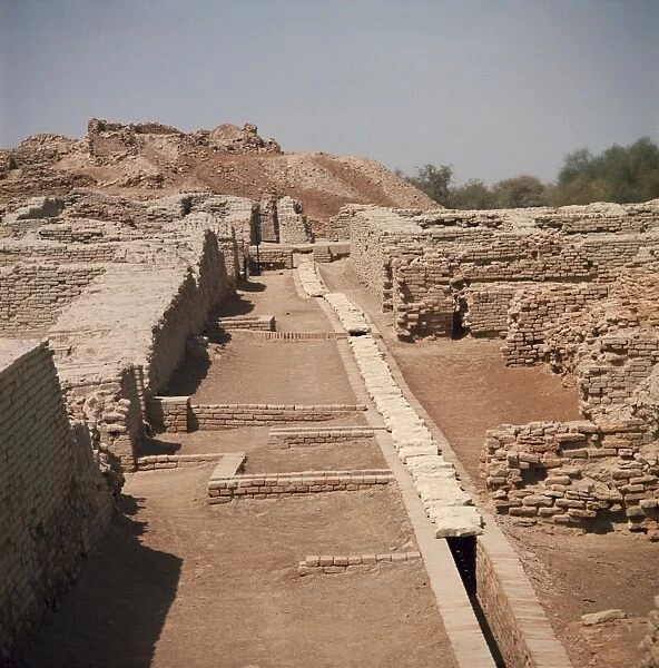 Indus Civilisation