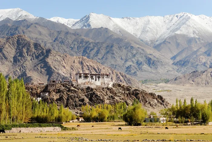 Framed Print : Indus River valley with the Tibetan Buddhist Stakna Monastery in the background, near Leh, Ladakh region, state of Jammu and Kashmir, India, Asia Framed Print : Indus River valley with the Tibetan Buddhist Stakna Monastery in the background, near Leh, Ladakh region, state of Jammu and Kashmir, India, Asia