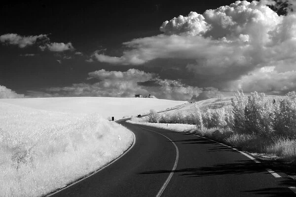Infra red image of country road and dramatic clouds, near Pienza, Tuscany, Italy, Europe