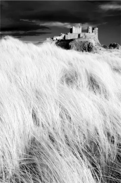 Framed Print : Infrared image of Bamburgh Castle from the dunes above Bamburgh Beach, Northumberland Framed Print : Infrared image of Bamburgh Castle from the dunes above Bamburgh Beach, Northumberland
