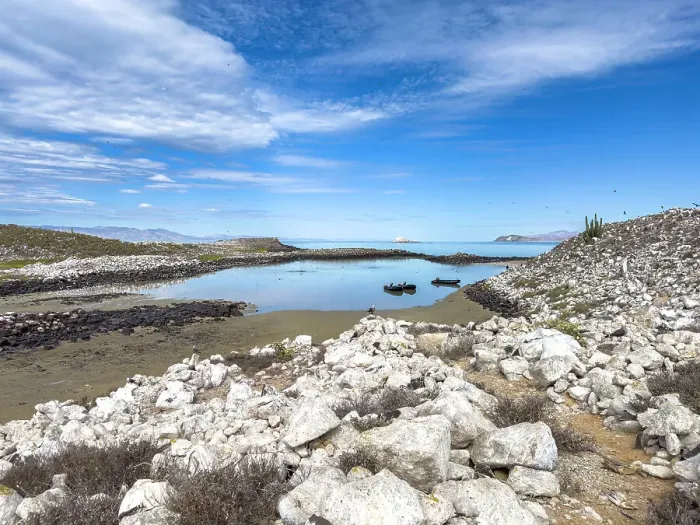 Framed Print : The inner lagoon on Isla Rasa, an important nesting site for terns and gulls, Baja California, Sea of Cortez, Mexico, North America