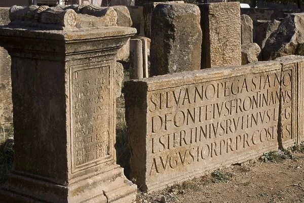 Inscriptions at the museum, taken from the Roman site of Lambaesis, Algeria