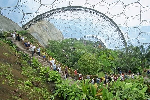 Inside the Humid Tropics biome at the Eden project, opened in 2001 at a china clay pit near St