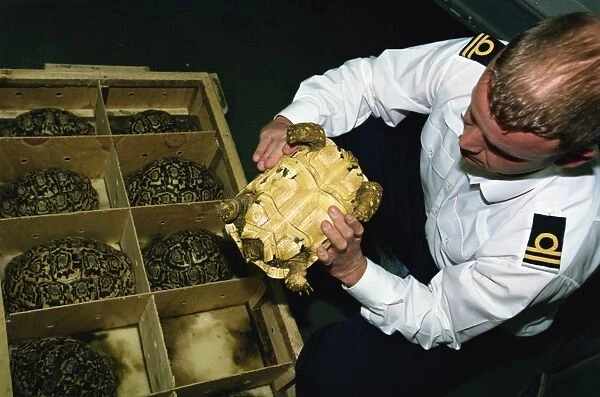 Inspector Tim Luffman inspects shipment of reptiles en route Tanzania to Japan
