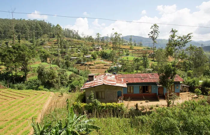 Framed Print : Intensive subsistence vegetable farming near Nuwara Eliya, Sri Lanka, Asia Framed Print : Intensive subsistence vegetable farming near Nuwara Eliya, Sri Lanka, Asia