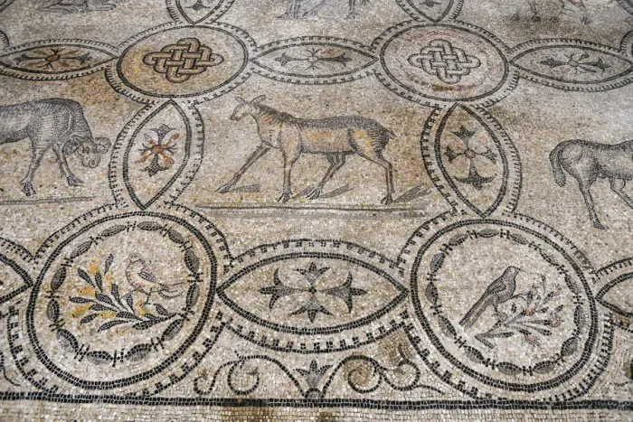 Framed Print : Interior of the Cathedral with the mosaic pavement, UNESCO World Heritage Site, Aquileia Framed Print : Interior of the Cathedral with the mosaic pavement, UNESCO World Heritage Site, Aquileia